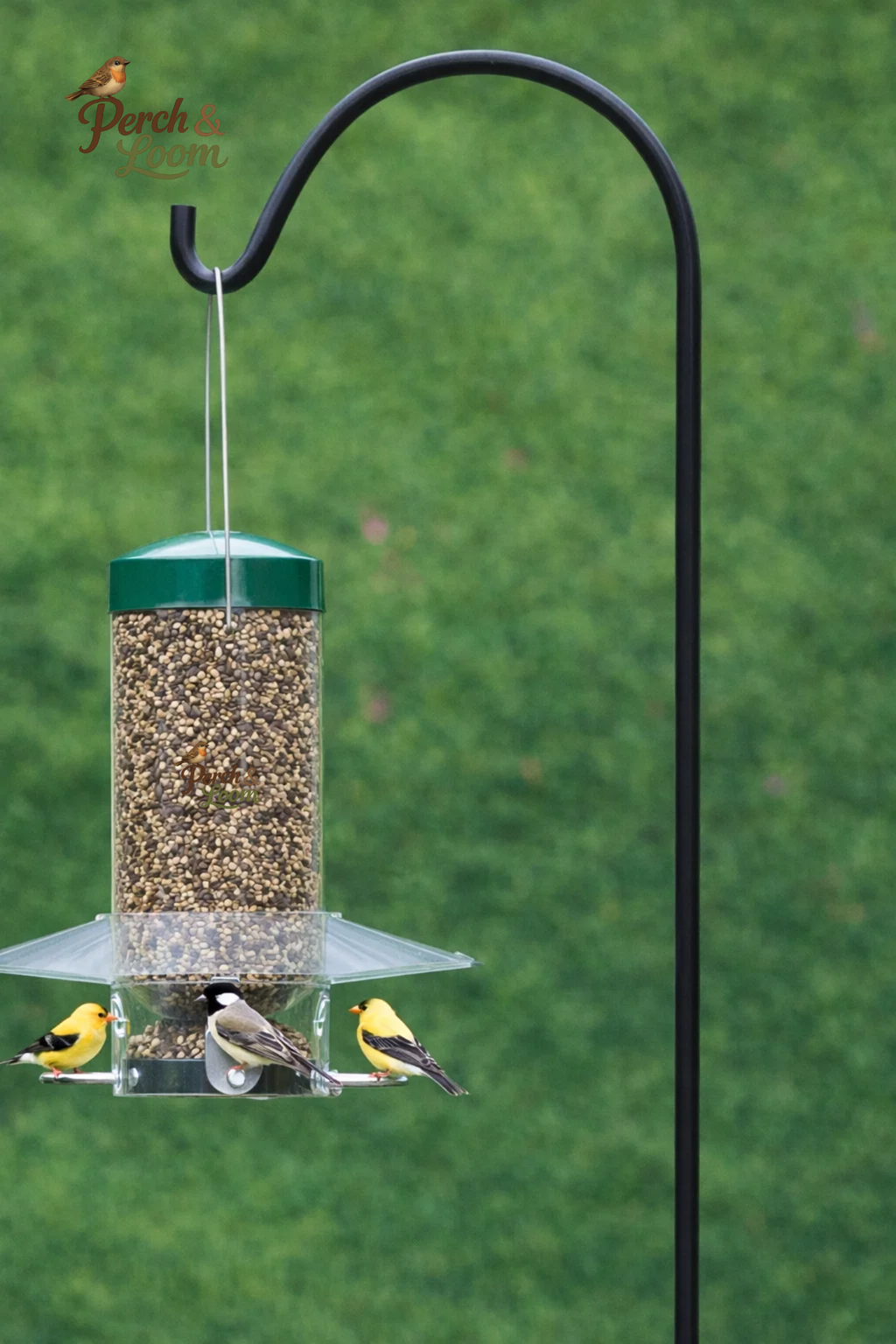 Clear Tube Hanging Bird Feeder with Tray Base
