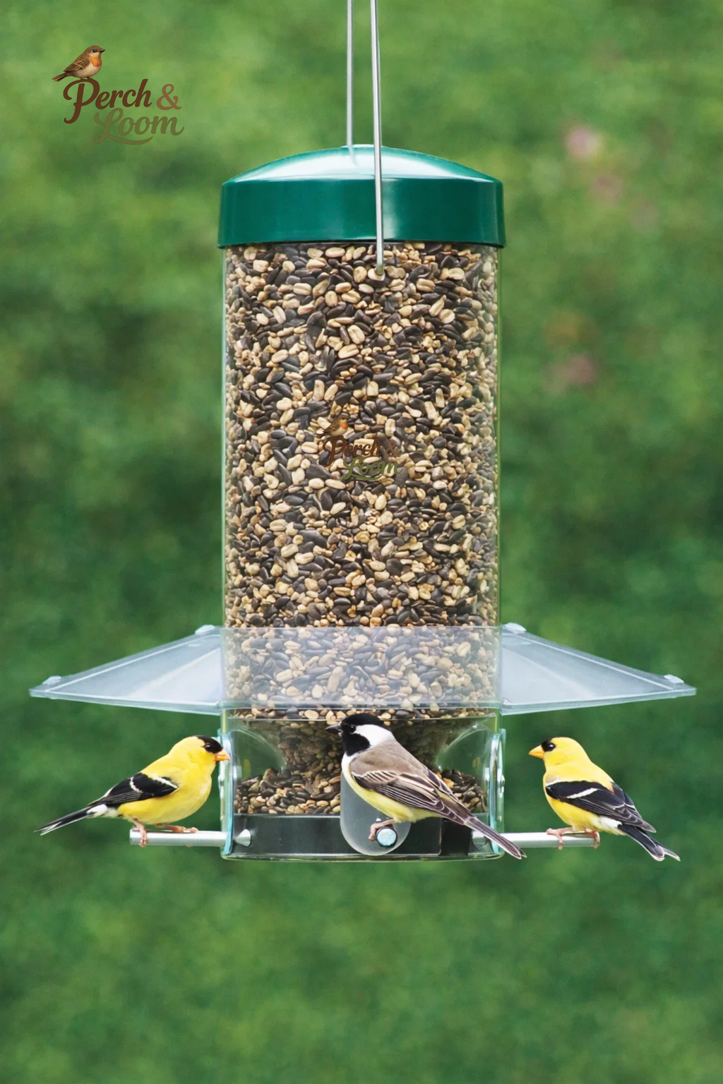 Clear Tube Hanging Bird Feeder with Tray Base